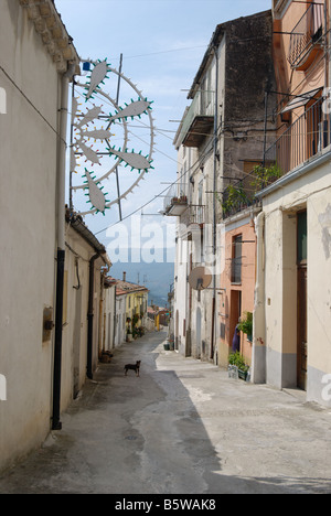 Gassen der Calitri in Süditalien mit kleinen Hund suchen auf. Stockfoto