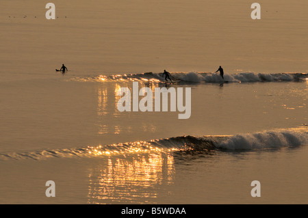 Fangen Sie die Golden Wave - Surfer warten und Wellen in den Gewässern von Topanga State Beach, Kalifornien Stockfoto