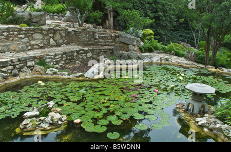 Texas Hill Country Austin Zilker botanischen Garten Taniguchi japanischen Garten-Koi-Teich Stockfoto