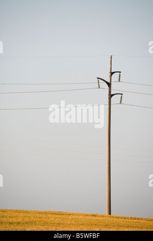 Telefonmast mitten auf einem Feld Stockfoto