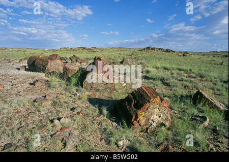 Riesige versteinerte Protokolle Wurf die Landschaft im Painted Desert, Petrified Forest National Park, Arizona. Stockfoto