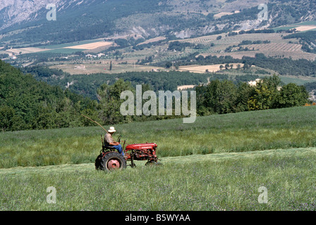 Landwirt Vintage Mini Traktor schneiden Gras im Feld in der Nähe von Bourdeaux, zahlt Bourdeaux, Drome Abteilung, nördlichen Provence, Frankreich Stockfoto