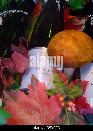 Ernte auf Flaschen Riesling im Elsass Frankreich mit Herbst anzeigen Stockfoto