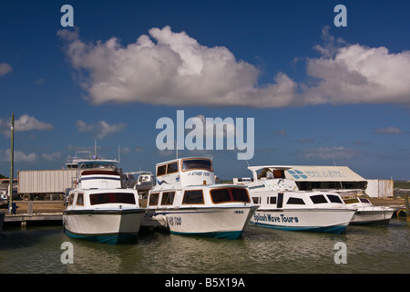 BELIZE Stadt BELIZE Wassertaxis angedockt an alten Belize Vergnügungspark Stockfoto