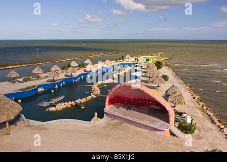 BELIZE Konzertmuschel am alten Belize Abenteuer Kultur- und historisches Zentrum in Gurken Strand Marina Stockfoto