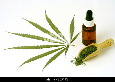 Cannabis Sativa Blätter, Extrakt und getrocknete Blätter Stockfoto
