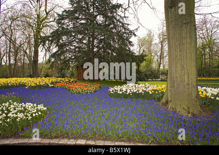 Blumenbeet im park Stockfoto