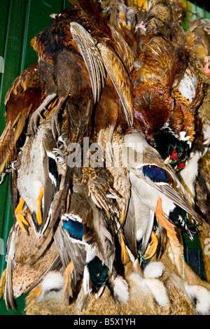 London, Borough Bauernmarkt im Freien, Fasane, Wildenten & Kaninchen hängen außerhalb Metzger Stand zum Verkauf bereit Stockfoto