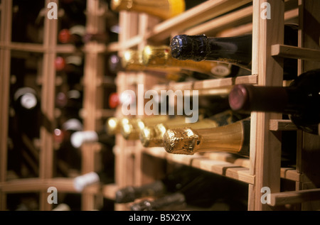 Flaschen Wein im Weinkeller Stockfoto