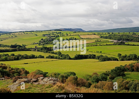 1270 Cheviot Hills Northumberland UK Stockfoto