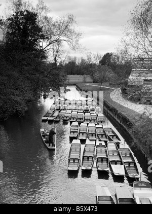 Menschen Stechkahn fahren an einem Fluss, Oxford, England Stockfoto