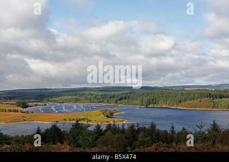 1286 Kielder Wasser Kielder Forest Northumberland UK Stockfoto