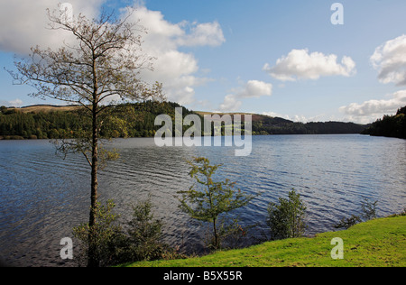 1305 Wales Lake Vyrnwy Powys UK Stockfoto