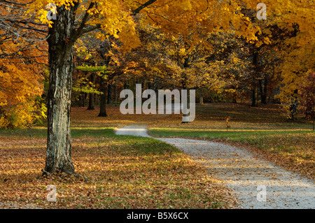 Weg durch Wald Herbst in Bernheim Arboretum und Forschung Wald Bullitt County Kentucky Kies Stockfoto