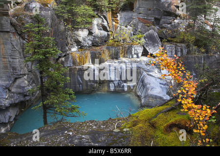 Charmante sehr kalten Teich in der Schlucht Kutenej in den USA Stockfoto