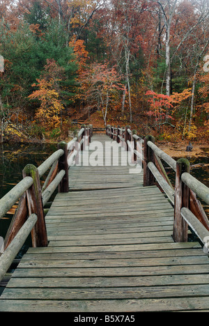 Fuß-Brücke Kreuzung Byrd See in Tennessee Cumberland Mountain State Park Stockfoto