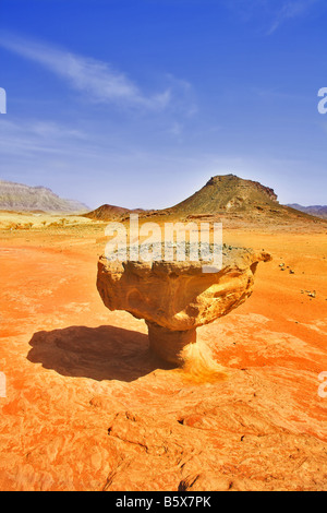 Riesigen Felsen aus rotem Sandstein in der Form Pilz in der beheizten Wüste Stockfoto