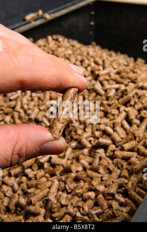 Holzpellets, Kraftstoff aus recyceltem Holz eine Alternative Wärmequelle. Stockfoto