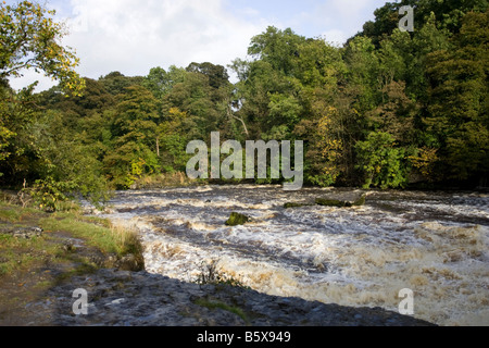 Aysgarth Falls Wensleydale Yorkshire Stockfoto