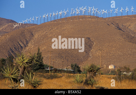 Windkraftanlagen in der Nähe von Palm Springs Kalifornien USA Stockfoto