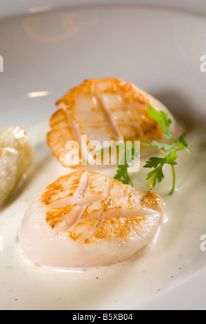 Schwertmuscheln Filippo Chiappini Koch Antica Osteria del Teatro Restaurant Piacenza Emilia Romagna Italien Stockfoto