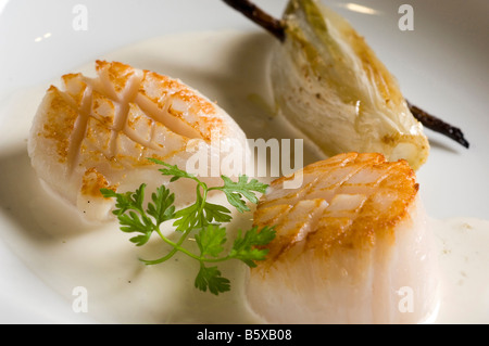 Schwertmuscheln Filippo Chiappini Koch Antica Osteria del Teatro Restaurant Piacenza Emilia Romagna Italien Stockfoto