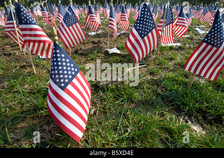 Amerikanische Ffags bei Gettysburg National Military Park, Pennsylvania Stockfoto