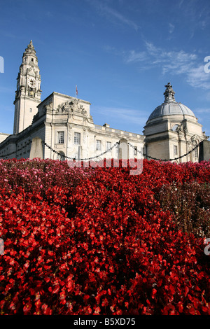 Winter-Blumen vor Rathaus Civic Centre Cardiff South Glamorgan South Wales Stockfoto