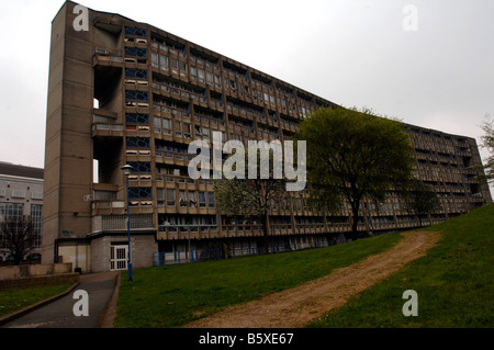 Robin Hood Gardens Tower Hamlets Pappel London E14 Stockfoto