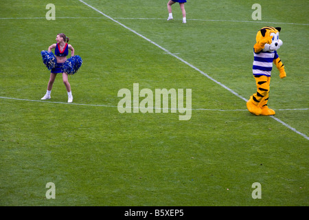 Queens Park Rangers (QPR) Cheerleader und Maskottchen unterhalten das Publikum in der Halbzeitpause. Stockfoto