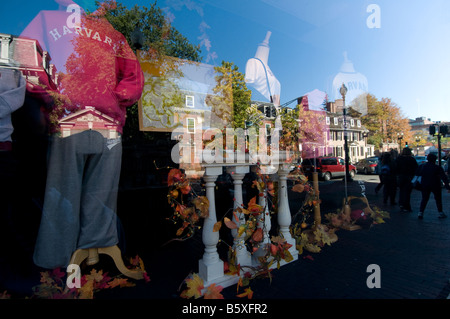 Fenster von Cambridge, Masse-Shop. Wohngebäuden spiegeln sich im Glas. Stockfoto