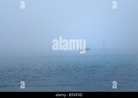 Nebeliger morgen auf See Contstance, Konstanz, Deutschland Stockfoto