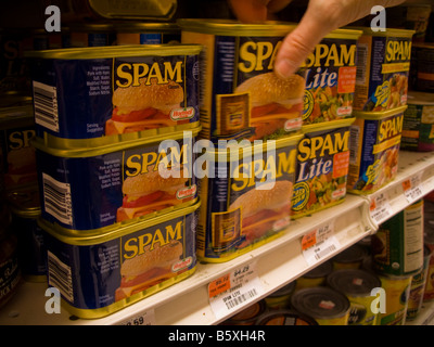 Dosen von Spam durch Hormel auf einem Supermarktregal in New York zu sehen sind Stockfoto