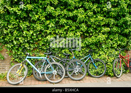 Fahrräder im Royal Botanic Gardens Kew Richmond London Stockfoto