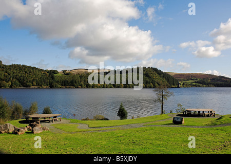 1304 Wales Lake Vyrnwy Powys UK Stockfoto