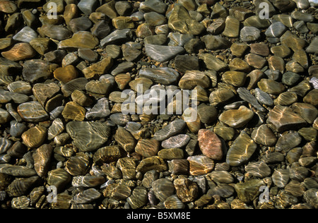 Klares Wasser, Sonnenlicht und Kieselsteine am Ufer des Titicacacasees, Bolivien Stockfoto