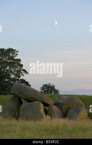 Dolmen grave, Riesen Ring, Lagan Valley, Belfast, Nordirland Stockfoto