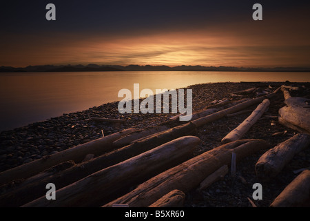 Treibholz auf Rebecca Spit Quadra Island bei Sonnenaufgang Stockfoto