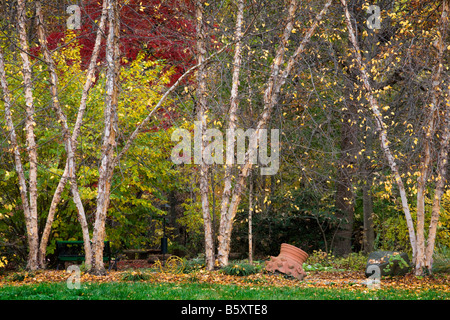 Cylburn Arboretun ist ein Naturschutzgebiet in Baltimore Maryland Stockfoto