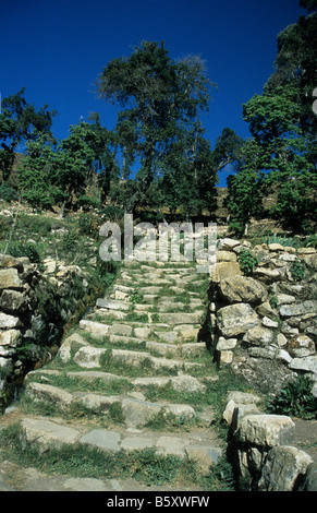 Inca-Treppe auf Sun Island / Isla del Sol in der Nähe von Yumani, Titicacasee, Bolivien Stockfoto