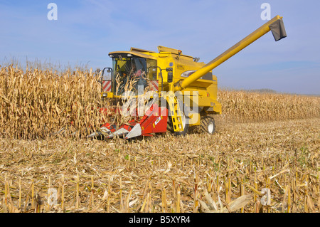 (Mais) Maisernte, Frankreich. Stockfoto