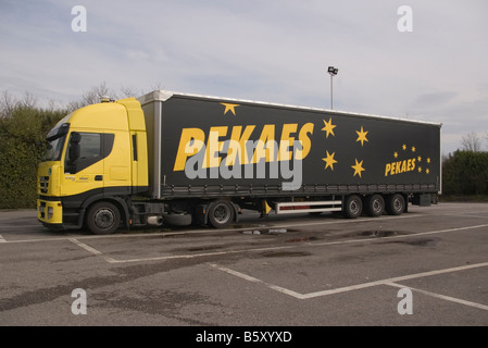 Iveco Zugmaschine und Anhänger artikuliert LKW Stockfoto