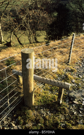 Walkers Stil über Drahtzaun - Powys, Wales UK. Stockfoto