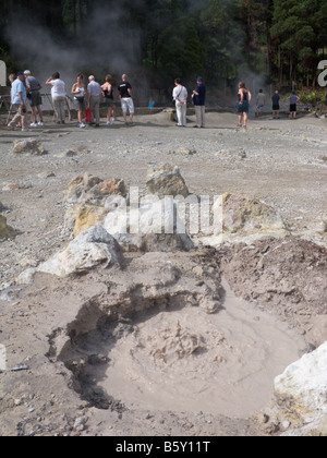 Heiße Quelle mit natürlich kochendem Wasser in Furnas, São Miguel, Azoren, Portugal Stockfoto