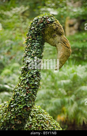Flamingo Kopf hautnah im Terra Nostra Park von Furnas, Azoren, Portugal Stockfoto