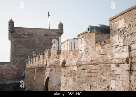 Kanonen, Skala de Port, Fort, Essaouira, Marokko, Afrika Stockfoto