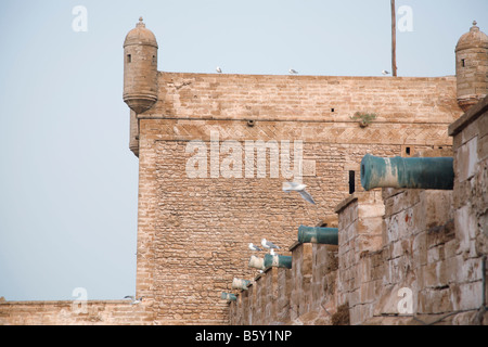Kanonen, Skala de Port, Fort, Essaouira, Marokko, Afrika Stockfoto