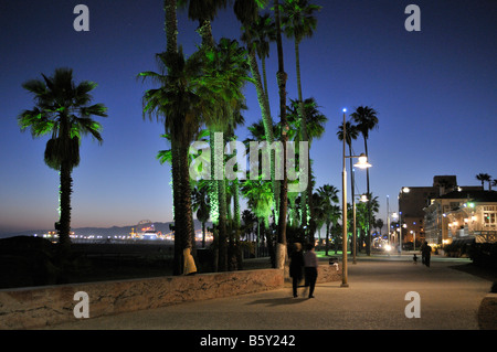 Palmen, die entlang dem Strand von Santa Monica beleuchtet Stockfoto