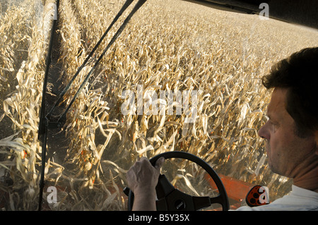 Farmer Mähdrescher fahren und Ernte Mais (Mais), Frankreich. Stockfoto