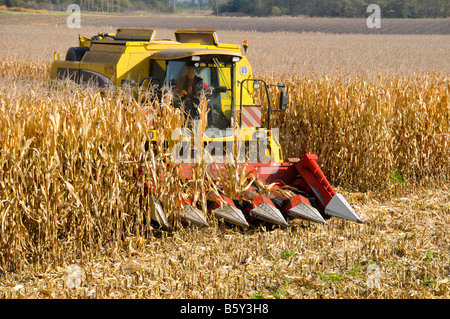 (Mais) Maisernte, Frankreich. Stockfoto